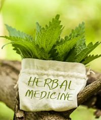 Ein kleiner Beutel mit der Aufschrift Herbal Medicine, gefüllt mit frischen grünen Blättern, aufgehängt an einem Ast, als Symbol für Naturheilkunde.